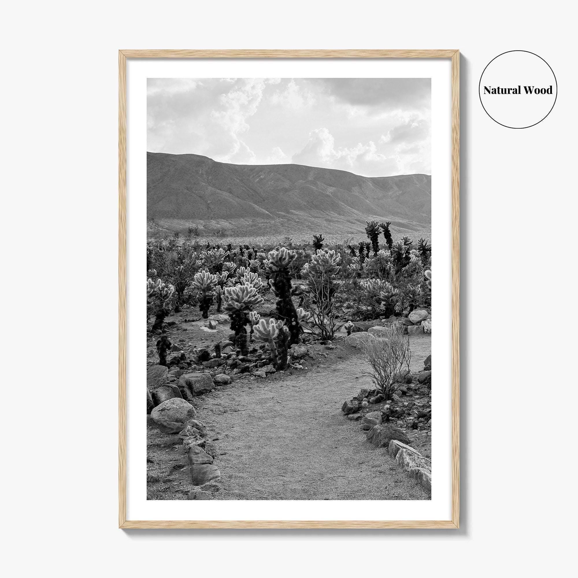 Joshua Tree Black and White Fine Art Photo Print, Cholla Cactus Garden California Poster