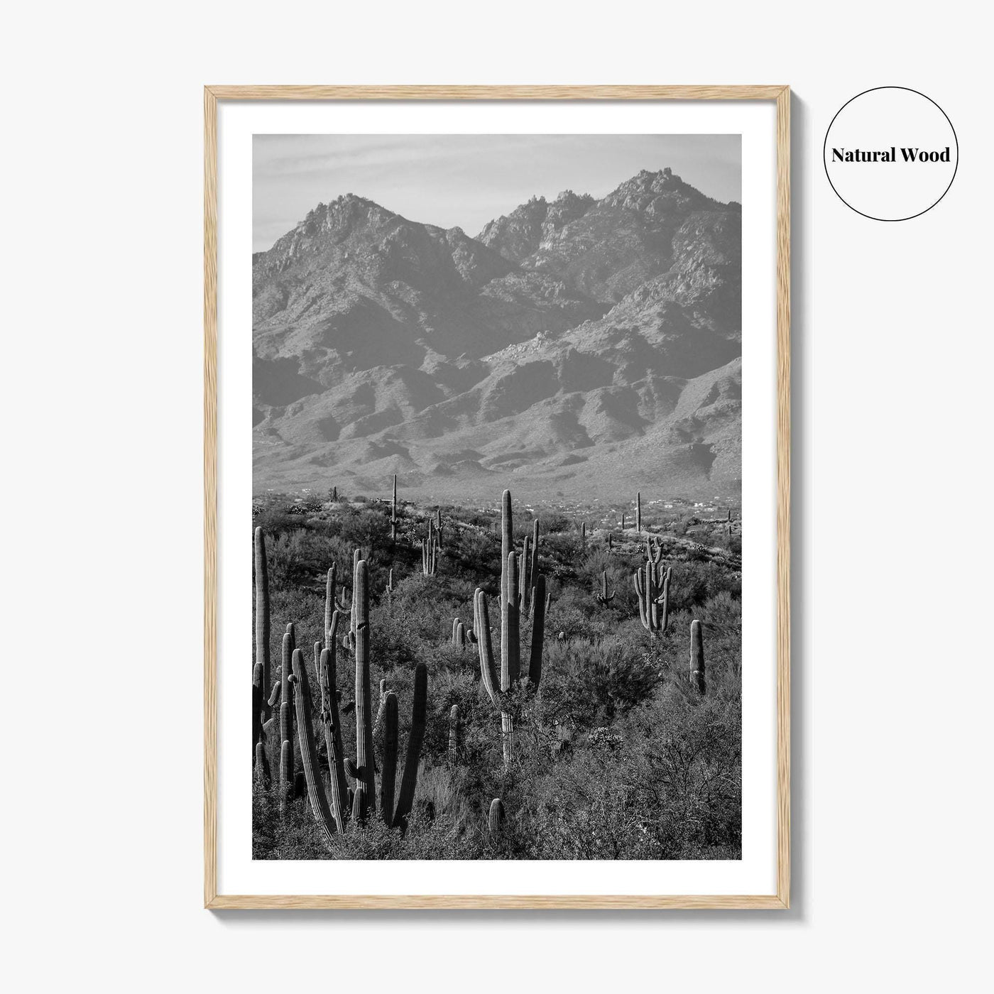 Saguaro National Park Black and White Fine Art Photo Print, Tucson Arizona USA Poster