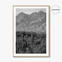 Saguaro National Park Black and White Fine Art Photo Print, Tucson Arizona USA Poster
