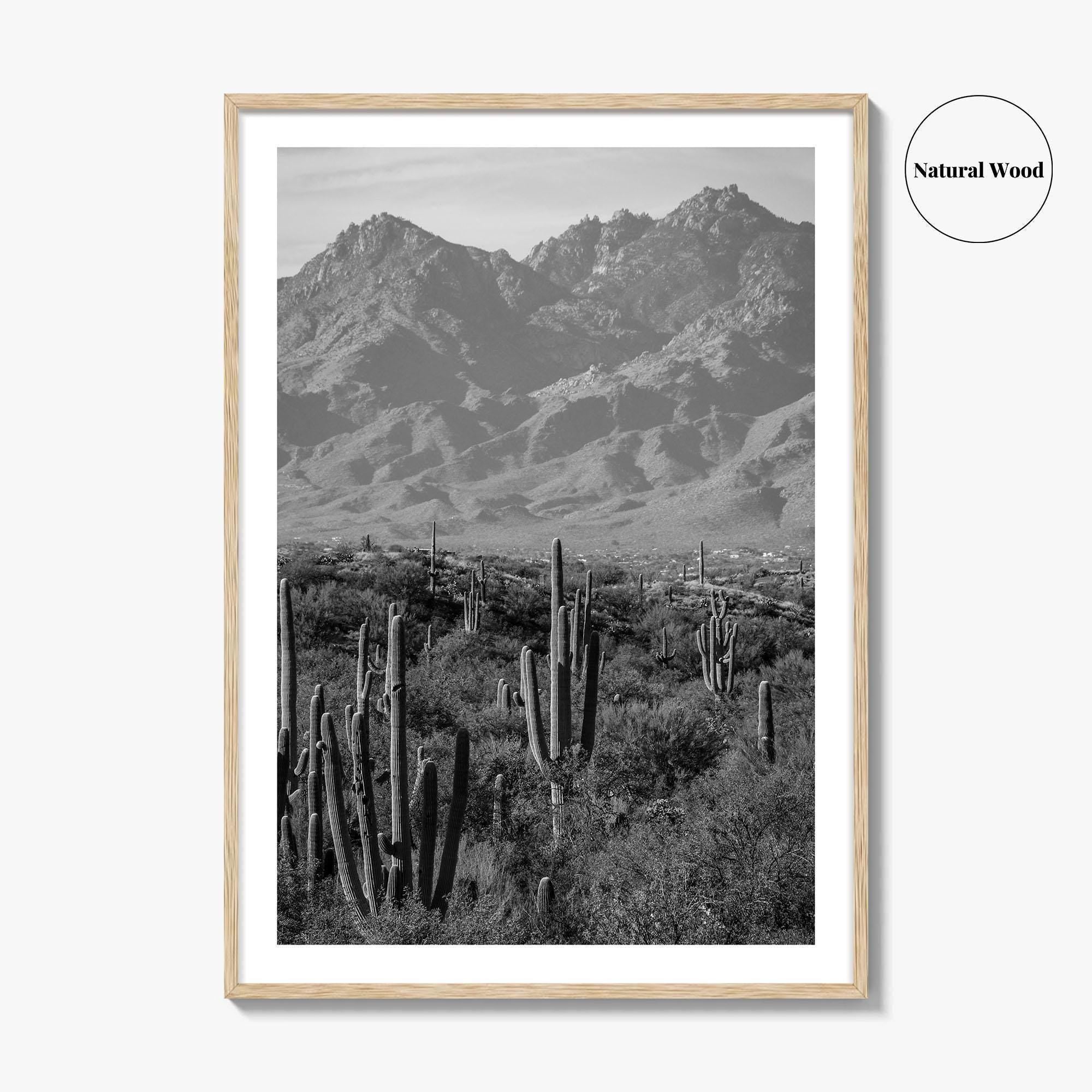 Saguaro National Park Black and White Fine Art Photo Print, Tucson Arizona USA Poster
