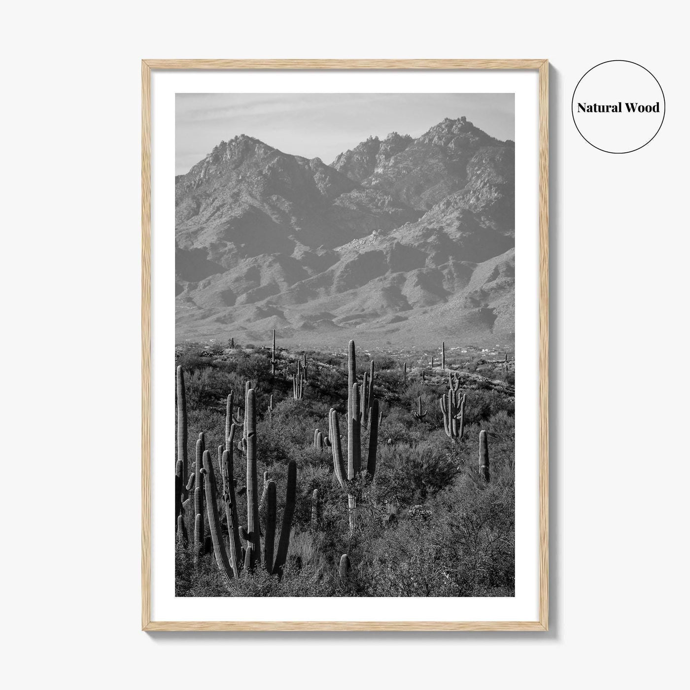 Saguaro National Park Black and White Fine Art Photo Print, Tucson Arizona USA Poster