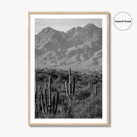 Saguaro National Park Black and White Fine Art Photo Print, Tucson Arizona USA Poster