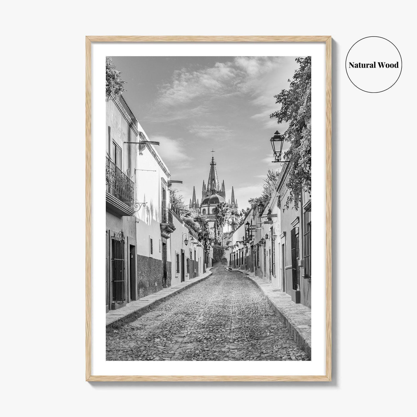 San Miguel de Allende Black and White Fine Art Photo Print, Guanajuato Poster