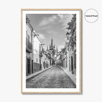 San Miguel de Allende Black and White Fine Art Photo Print, Guanajuato Poster