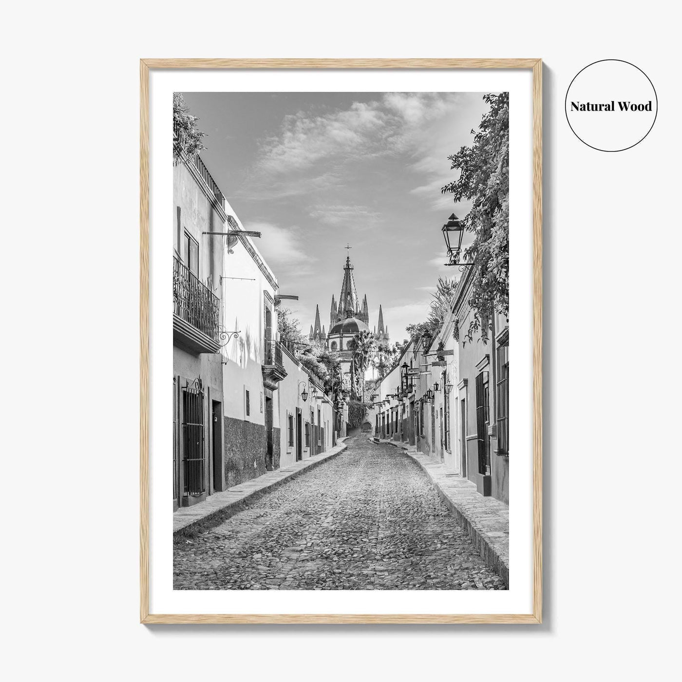 San Miguel de Allende Black and White Fine Art Photo Print, Guanajuato Poster
