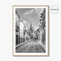 San Miguel de Allende Black and White Fine Art Photo Print, Guanajuato Poster