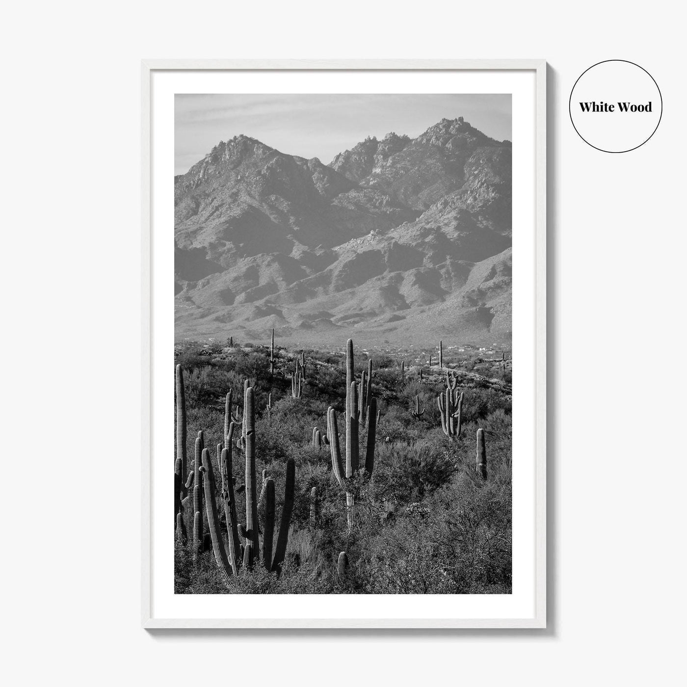 Saguaro National Park Black and White Fine Art Photo Print, Tucson Arizona USA Poster
