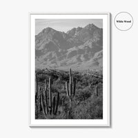 Saguaro National Park Black and White Fine Art Photo Print, Tucson Arizona USA Poster