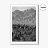 Saguaro National Park Black and White Fine Art Photo Print, Tucson Arizona USA Poster
