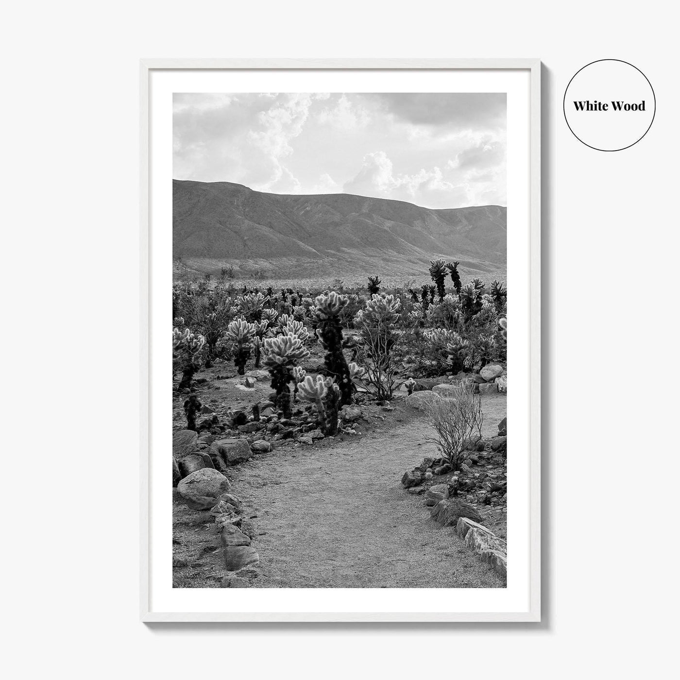Joshua Tree Black and White Fine Art Photo Print, Cholla Cactus Garden California Poster
