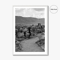 Joshua Tree Black and White Fine Art Photo Print, Cholla Cactus Garden California Poster
