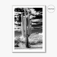 Arizona Black and White Fine Art Photo Print, Saguaro National Park, Tucson Cactus Poster