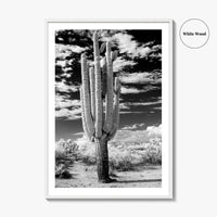 Arizona Black and White Fine Art Photo Print, Saguaro National Park, Tucson Cactus Poster