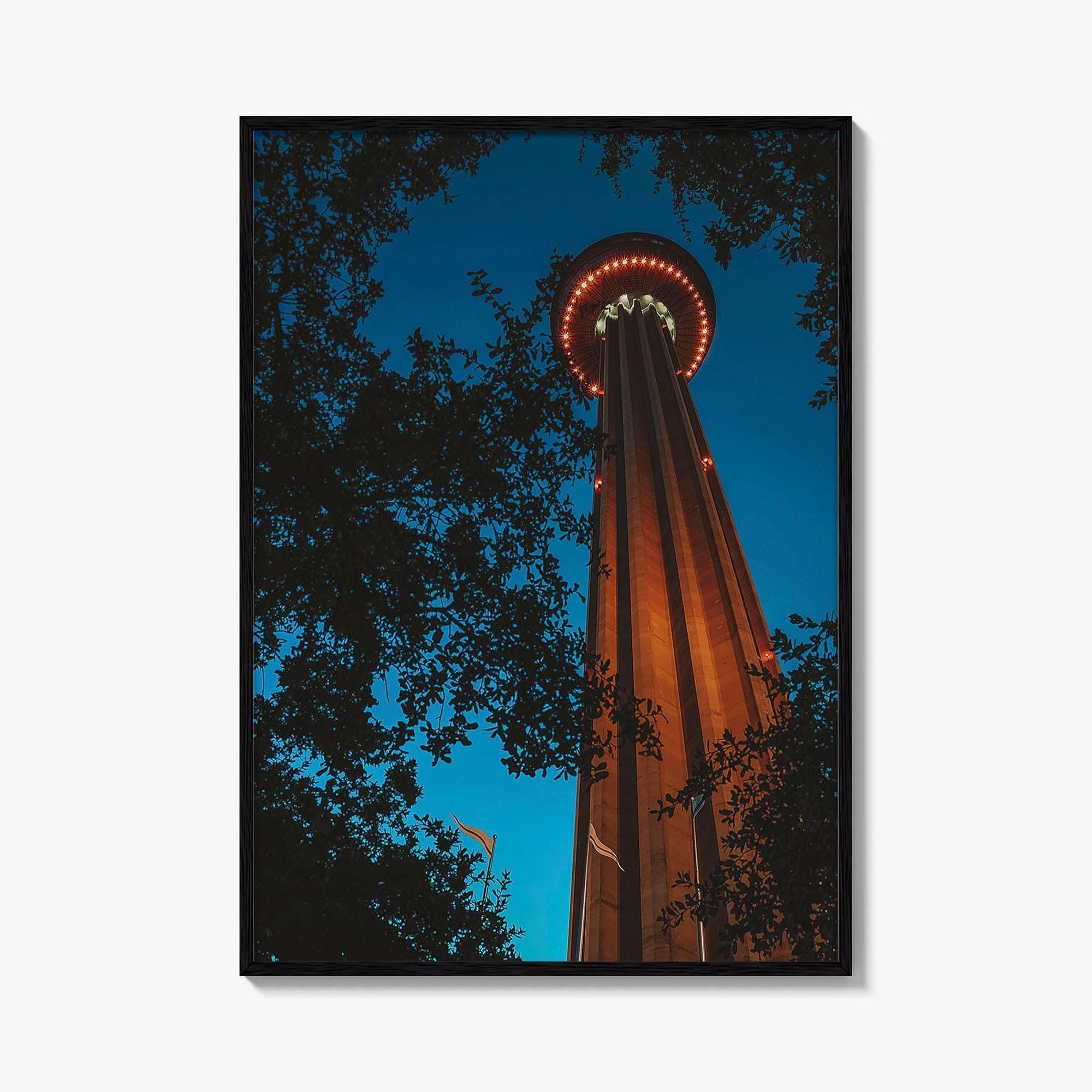 San Antonio Fine Art Photo Print, Tower of the Americas, Hemisfair Park, Texas Poster