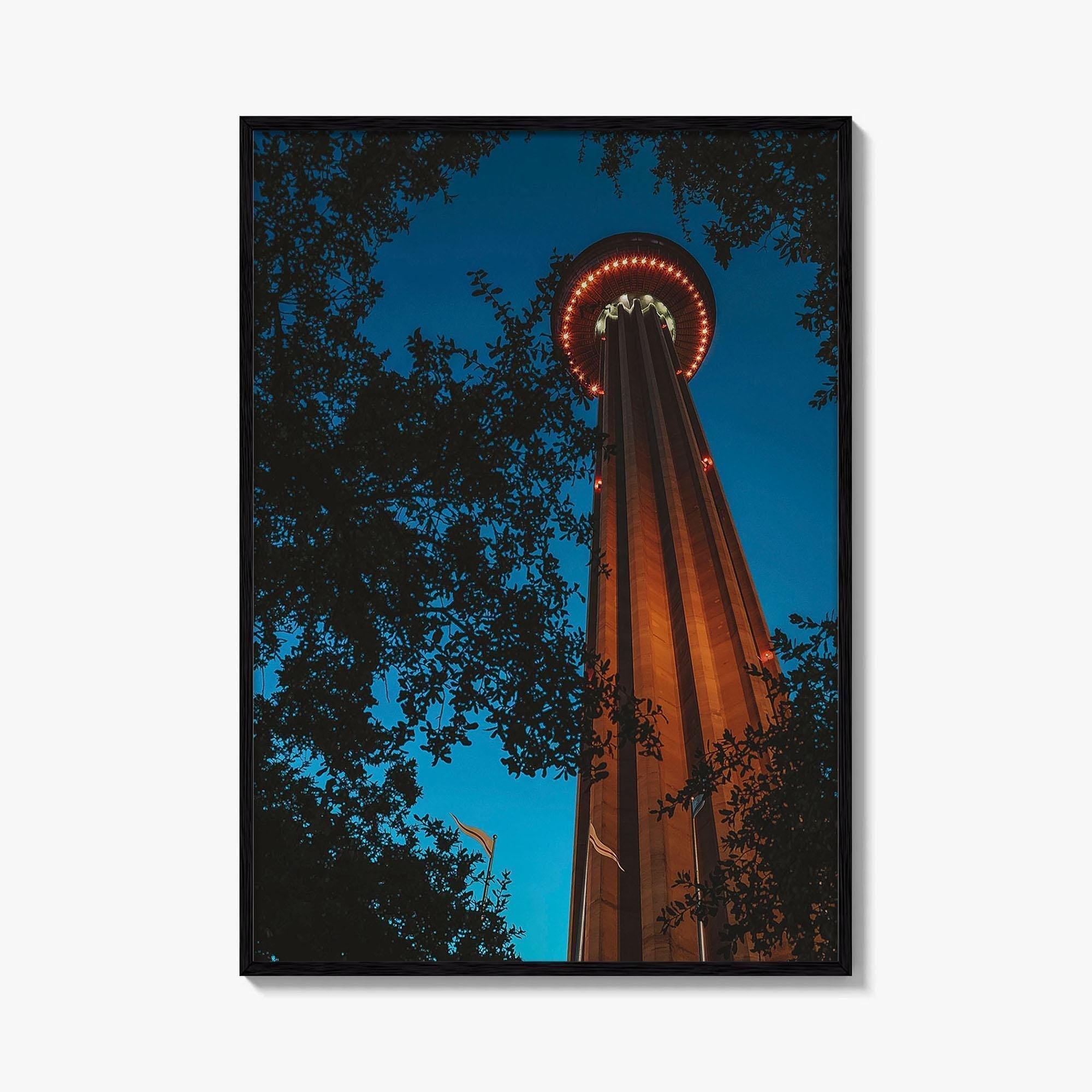 San Antonio Fine Art Photo Print, Tower of the Americas, Hemisfair Park, Texas Poster