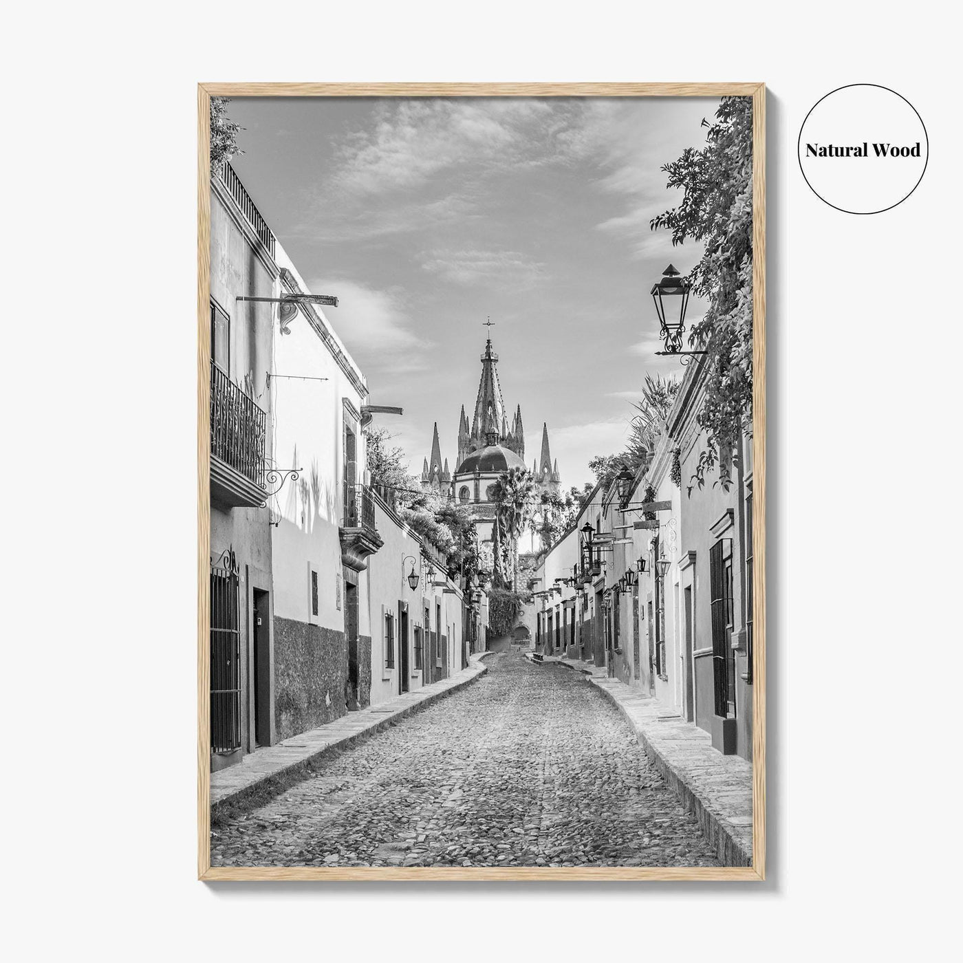 San Miguel de Allende Black and White Fine Art Photo Print, Guanajuato Poster
