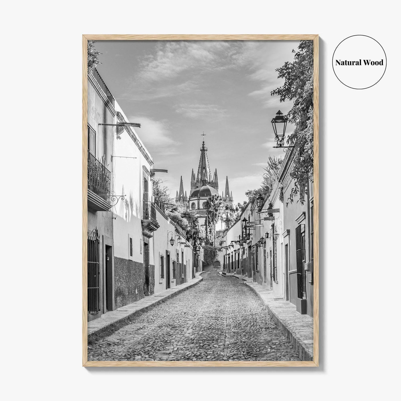 San Miguel de Allende Black and White Fine Art Photo Print, Guanajuato Poster