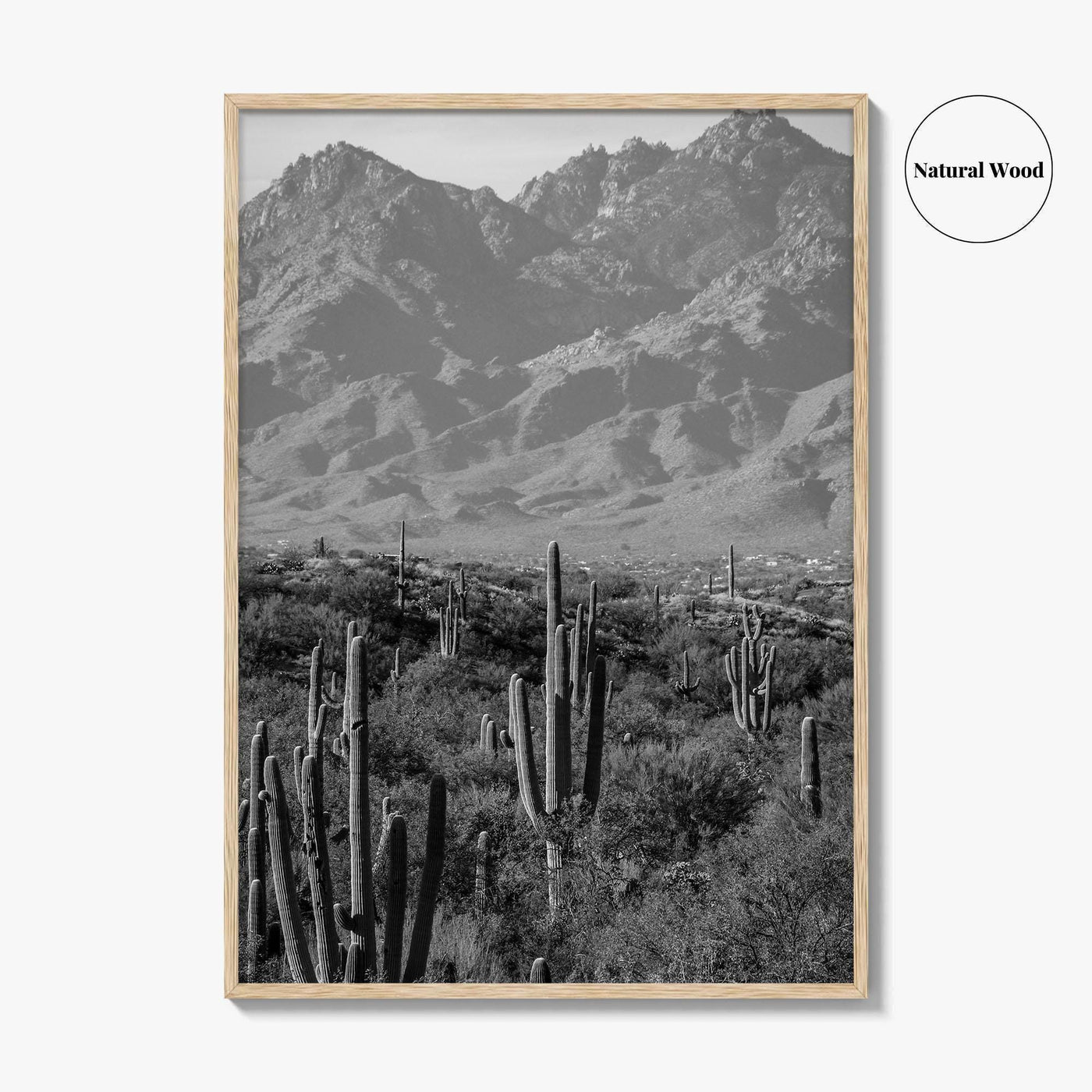 Saguaro National Park Black and White Fine Art Photo Print, Tucson Arizona USA Poster