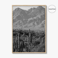 Saguaro National Park Black and White Fine Art Photo Print, Tucson Arizona USA Poster
