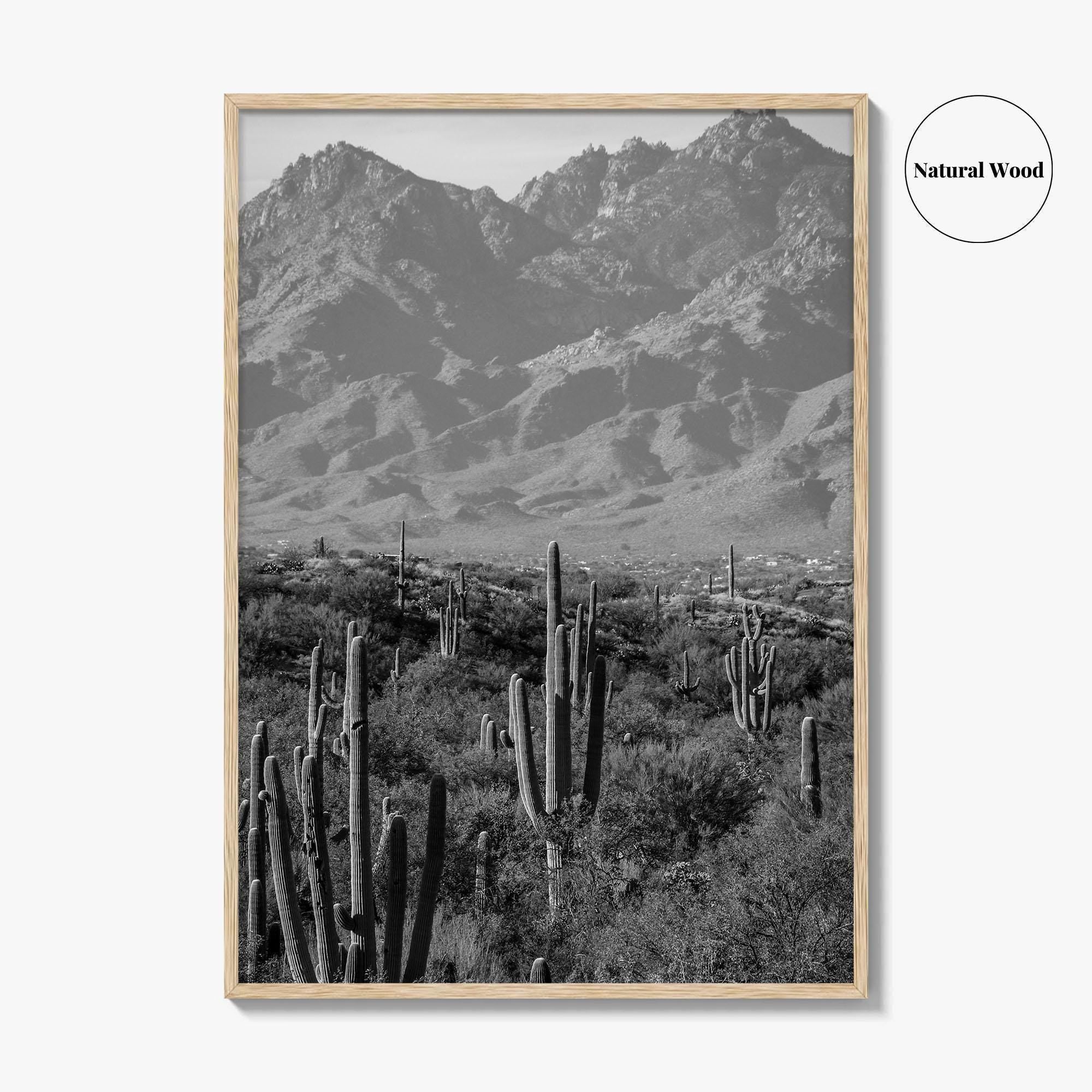 Saguaro National Park Black and White Fine Art Photo Print, Tucson Arizona USA Poster