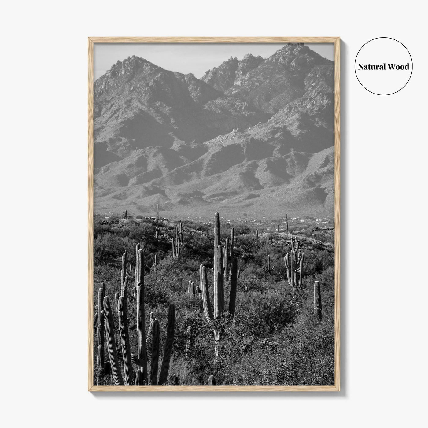 Saguaro National Park Black and White Fine Art Photo Print, Tucson Arizona USA Poster