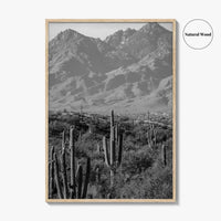 Saguaro National Park Black and White Fine Art Photo Print, Tucson Arizona USA Poster