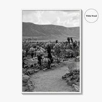 Joshua Tree Black and White Fine Art Photo Print, Cholla Cactus Garden California Poster