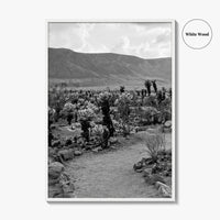 Joshua Tree Black and White Fine Art Photo Print, Cholla Cactus Garden California Poster