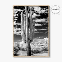 Arizona Black and White Fine Art Photo Print, Saguaro National Park, Tucson Cactus Poster