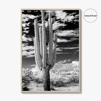 Arizona Black and White Fine Art Photo Print, Saguaro National Park, Tucson Cactus Poster