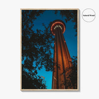 San Antonio Fine Art Photo Print, Tower of the Americas, Hemisfair Park, Texas Poster