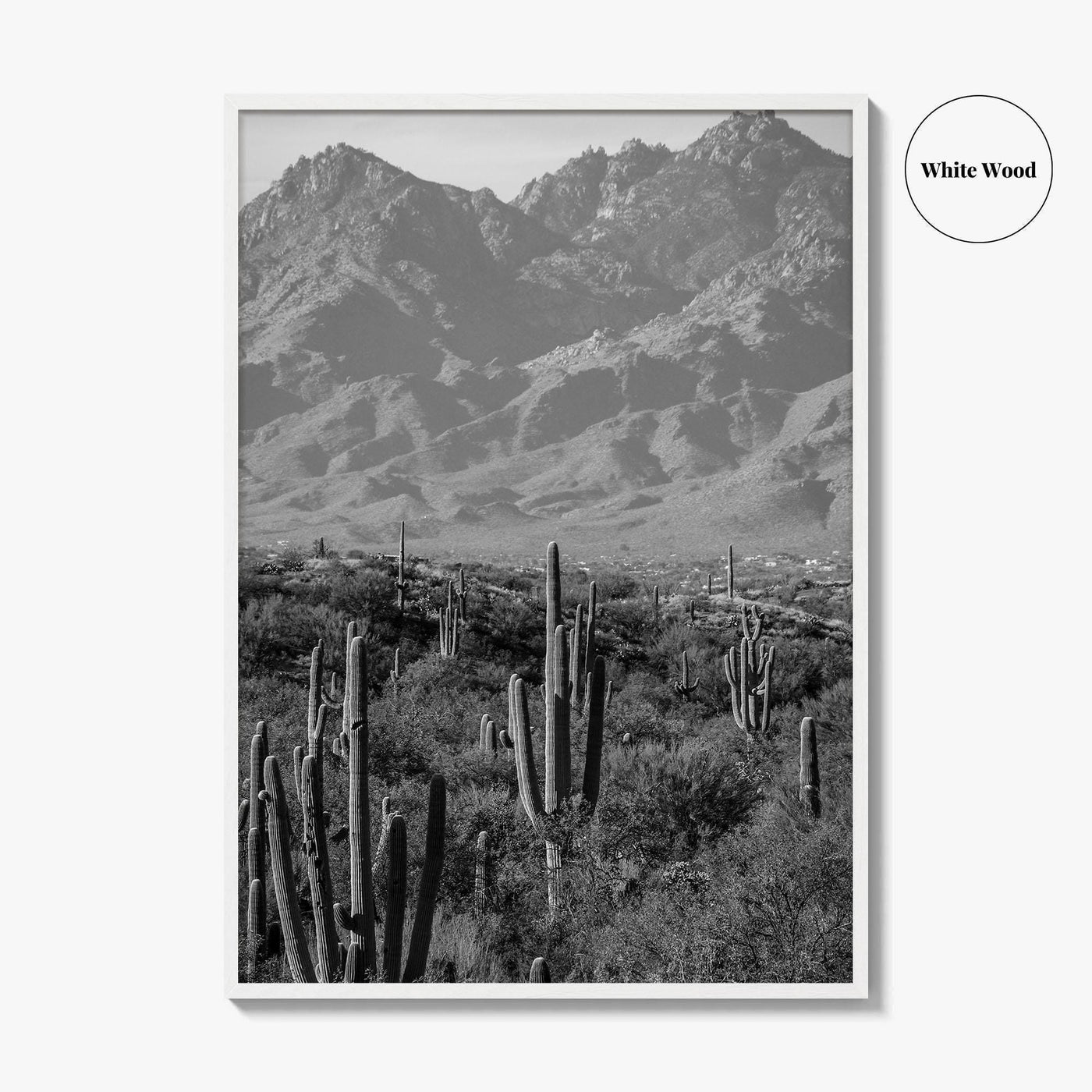 Saguaro National Park Black and White Fine Art Photo Print, Tucson Arizona USA Poster