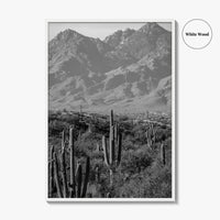 Saguaro National Park Black and White Fine Art Photo Print, Tucson Arizona USA Poster