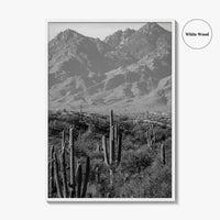 Saguaro National Park Black and White Fine Art Photo Print, Tucson Arizona USA Poster