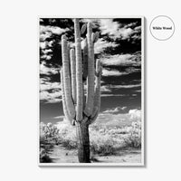 Arizona Black and White Fine Art Photo Print, Saguaro National Park, Tucson Cactus Poster