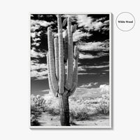 Arizona Black and White Fine Art Photo Print, Saguaro National Park, Tucson Cactus Poster