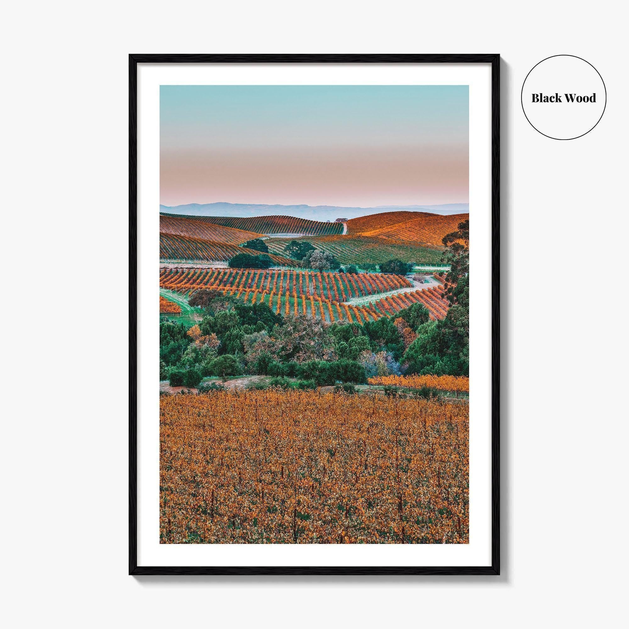 Napa Valley Fine Art Photo Print, Sonoma Valley, California Wine Country Poster