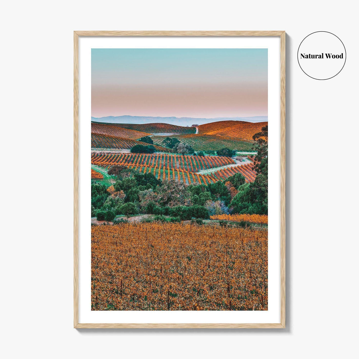 Napa Valley Fine Art Photo Print, Sonoma Valley, California Wine Country Poster