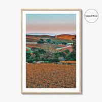 Napa Valley Fine Art Photo Print, Sonoma Valley, California Wine Country Poster
