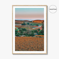 Napa Valley Fine Art Photo Print, Sonoma Valley, California Wine Country Poster