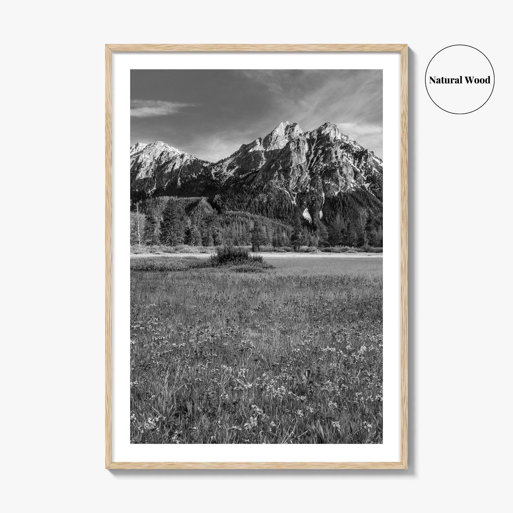 Idaho Black and White Fine Art Photo Print, McGown Peak Sawtooth Mountains USA Poster