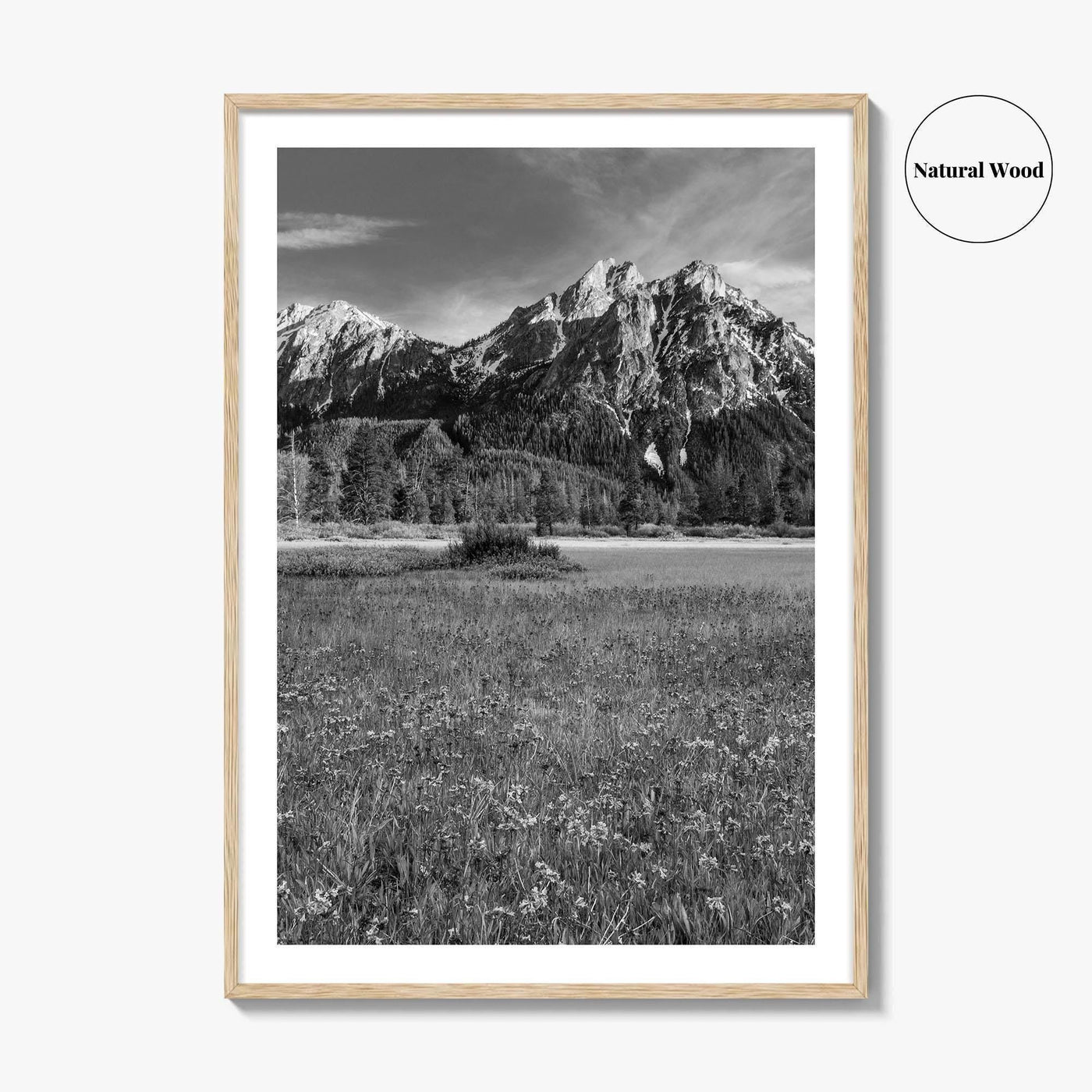 Idaho Black and White Fine Art Photo Print, McGown Peak Sawtooth Mountains USA Poster