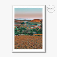 Napa Valley Fine Art Photo Print, Sonoma Valley, California Wine Country Poster
