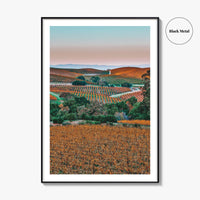 Napa Valley Fine Art Photo Print, Sonoma Valley, California Wine Country Poster