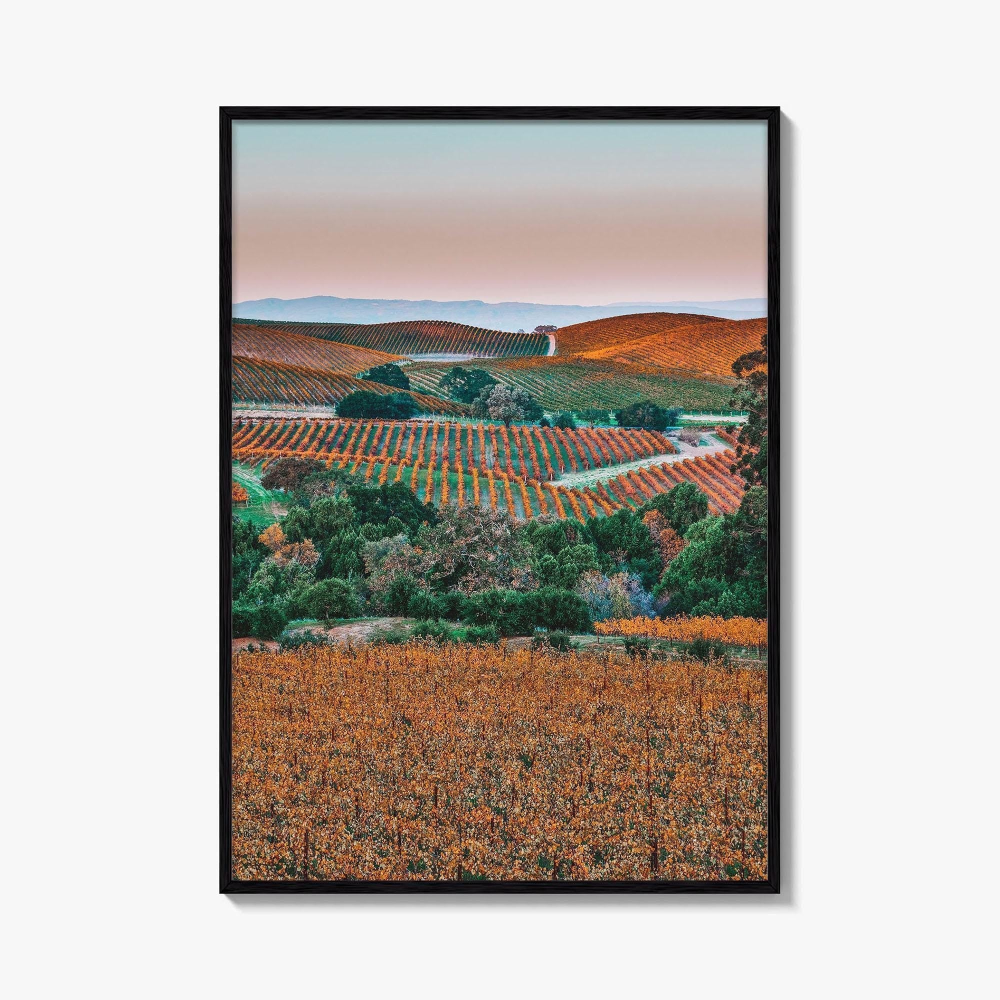 Napa Valley Fine Art Photo Print, Sonoma Valley, California Wine Country Poster