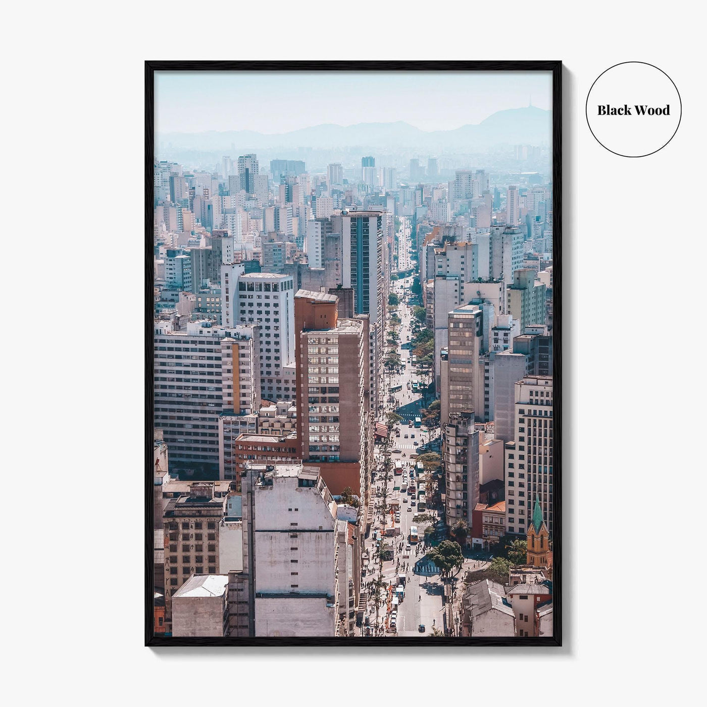 Sao Paulo Skyline Fine Art Photo Print, Aerial View, Sao Joao, Brazil Poster