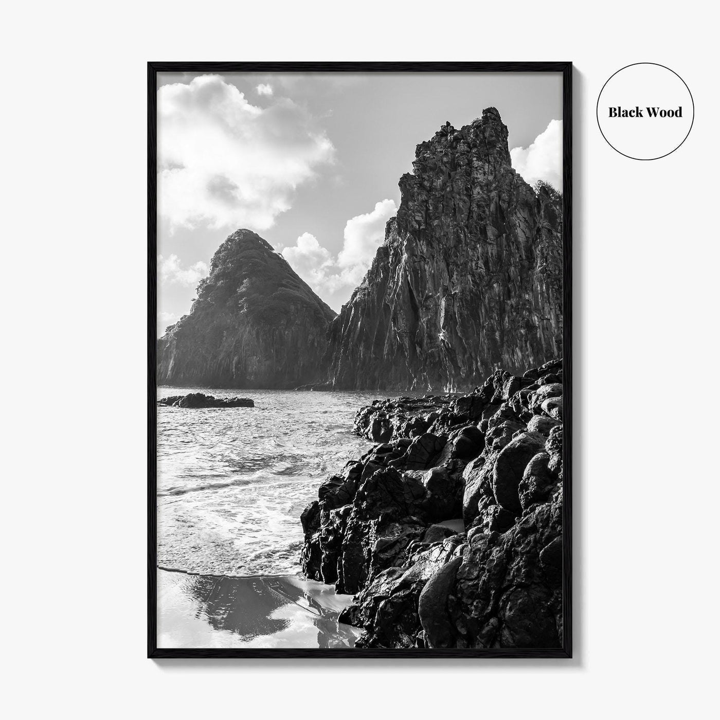 Fernando de Noronha Black and White Fine Art Photo Print, Dois Irmaos Brazil Poster