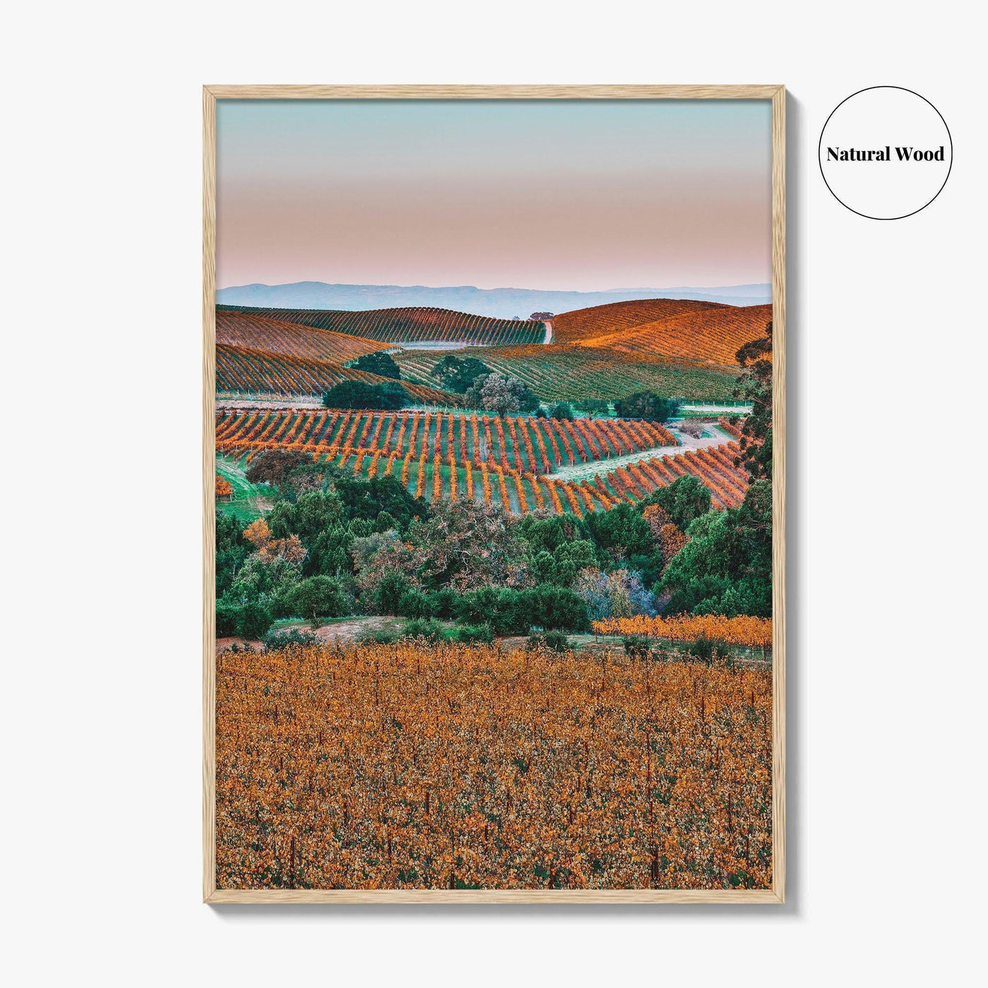 Napa Valley Fine Art Photo Print, Sonoma Valley, California Wine Country Poster