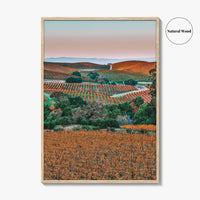 Napa Valley Fine Art Photo Print, Sonoma Valley, California Wine Country Poster