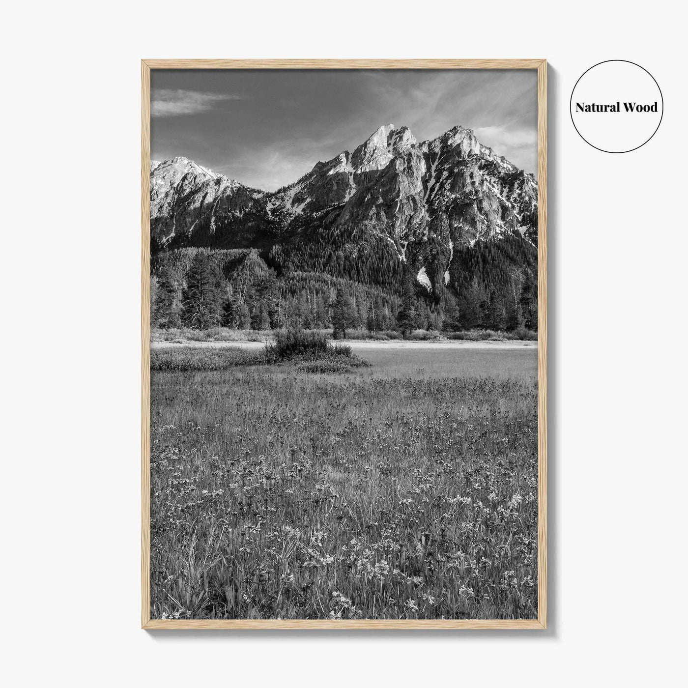 Idaho Black and White Fine Art Photo Print, McGown Peak Sawtooth Mountains USA Poster